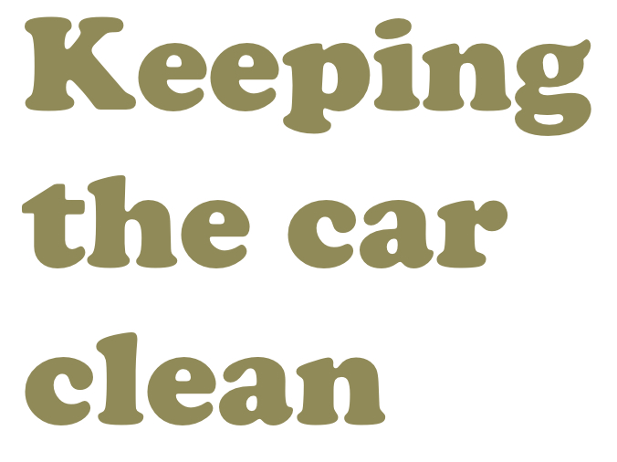 Organizing Tip: Keeping Your Car in Order