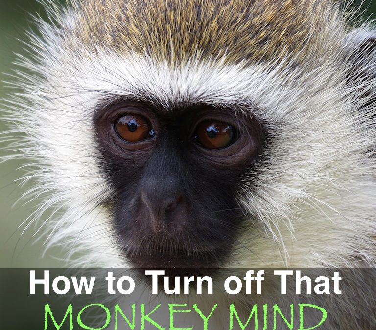 Productivity Tip: Turn Off That Monkey Mind (Overactive Mind)