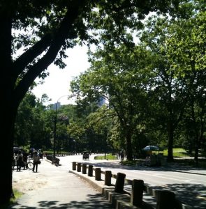 Image of a park road, Central Park, NY, NY, photography by R. Isip 