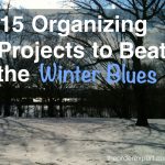 Image of trees and snow in the winter and the phrase, 15 Organizing Projects to Beat the Winter Blues