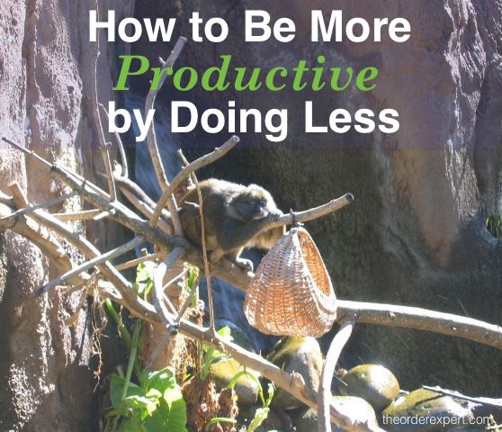 Image of a sleeping primate and phrase, How to Be More Productive by Doing Less 