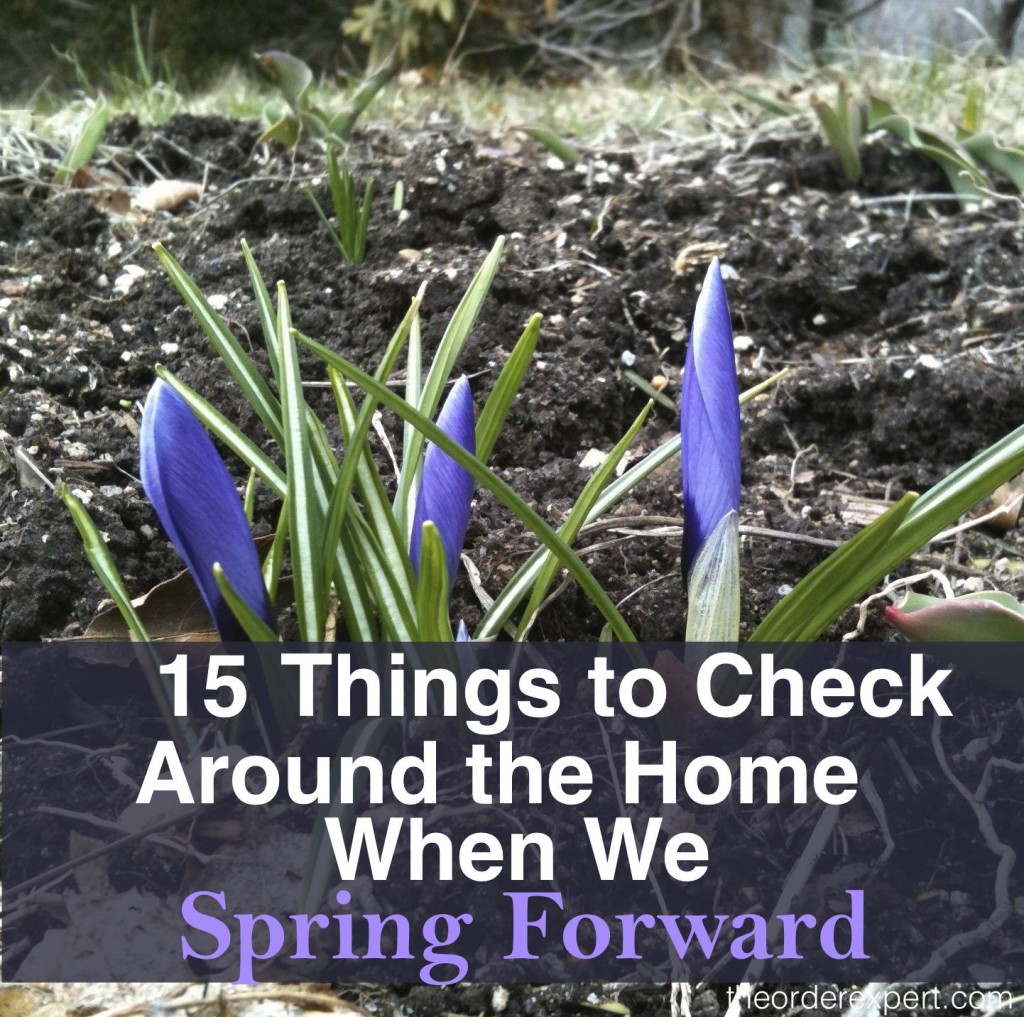 Image of crocuses and phrase, 15 Things to Check Around the Home When We Spring Forward
