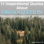 Image of a forest and the phrase, 11 Inspirational Quotes About Organization