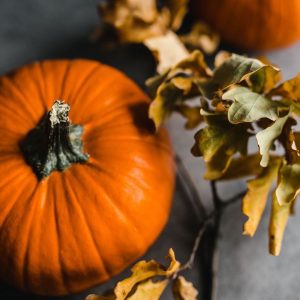 4 Spooky Halloween Blog Posts to Help You Get Organized