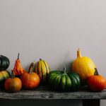 Collection of colorful pumpkins on a bench