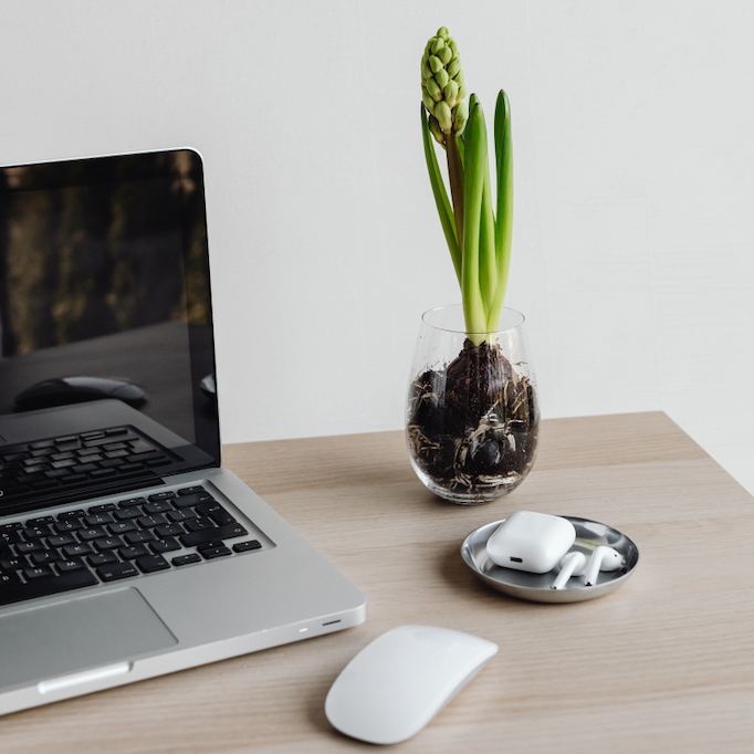Laptop, mouse, earbuds, and plant on a desk