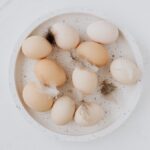 Eggs sitting in a bowl with feathers
